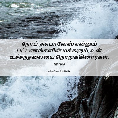 Picture 06 - எரேமியா 2:16 TAMIRV - நோப், தகபானேஸ் - Bible Verse Picture