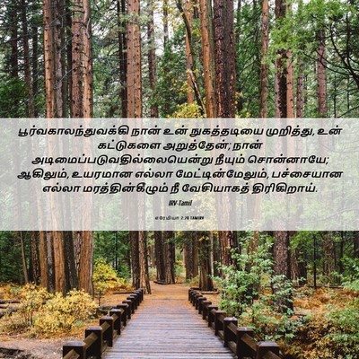 Picture 06 - எரேமியா 2:20 TAMIRV -  - Bible Verse Picture