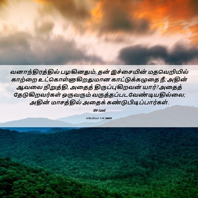 Picture 06 - எரேமியா 2:24 TAMIRV - வனாந்திரத்தில் - Bible Verse Picture