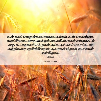 Picture 06 - எரேமியா 2:25 TAMIRV - உன் கால் - Bible Verse Picture