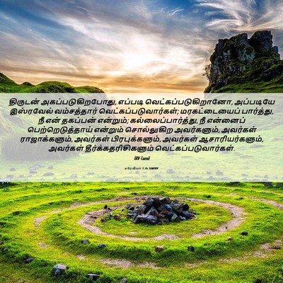 Picture 06 - எரேமியா 2:26 TAMIRV - திருடன் - Bible Verse Picture