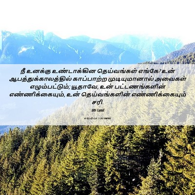 Picture 06 - எரேமியா 2:28 TAMIRV - நீ உனக்கு - Bible Verse Picture