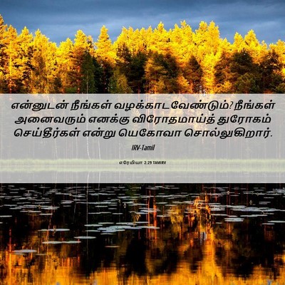 Picture 06 - எரேமியா 2:29 TAMIRV - என்னுடன் நீங்கள் - Bible Verse Picture
