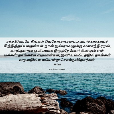 Picture 06 - எரேமியா 2:31 TAMIRV - சந்ததியாரே, - Bible Verse Picture