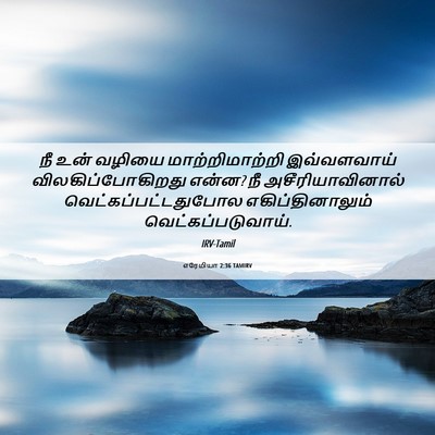 Picture 06 - எரேமியா 2:36 TAMIRV - நீ உன் வழியை - Bible Verse Picture