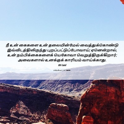 Picture 06 - எரேமியா 2:37 TAMIRV - நீ உன் கைகளை உன் - Bible Verse Picture