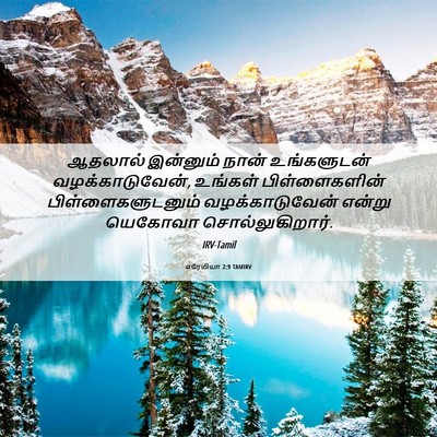Picture 06 - எரேமியா 2:9 TAMIRV - ஆதலால் இன்னும் - Bible Verse Picture