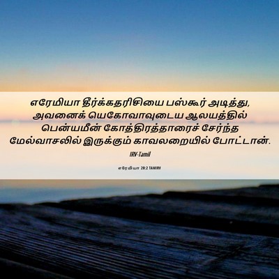 Picture 06 - எரேமியா 20:2 TAMIRV - எரேமியா - Bible Verse Picture