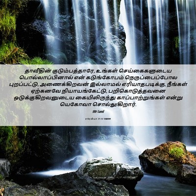 Picture 06 - எரேமியா 21:12 TAMIRV - தாவீதின் - Bible Verse Picture