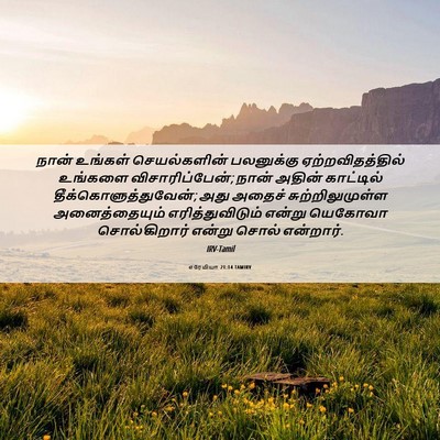 Picture 06 - எரேமியா 21:14 TAMIRV - நான் உங்கள் - Bible Verse Picture