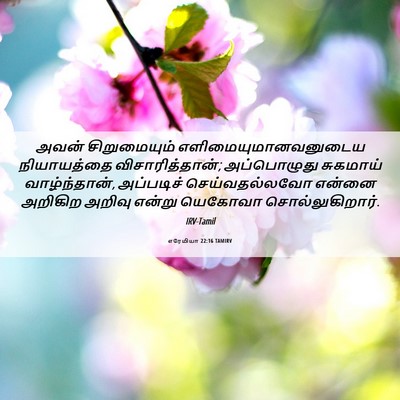 Picture 06 - எரேமியா 22:16 TAMIRV - அவன் சிறுமையும் - Bible Verse Picture