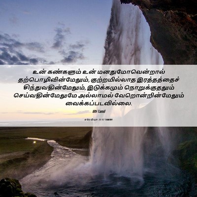 Picture 06 - எரேமியா 22:17 TAMIRV - உன் கண்களும் உன் - Bible Verse Picture