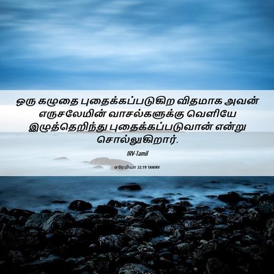 Picture 06 - எரேமியா 22:19 TAMIRV - ஒரு கழுதை - Bible Verse Picture