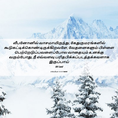 Picture 06 - எரேமியா 22:23 TAMIRV - லீபனோனில் - Bible Verse Picture