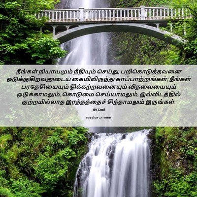 Picture 06 - எரேமியா 22:3 TAMIRV - நீங்கள் நியாயமும் - Bible Verse Picture