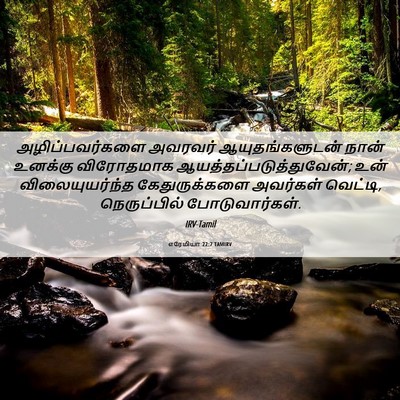 Picture 06 - எரேமியா 22:7 TAMIRV - அழிப்பவர்களை - Bible Verse Picture