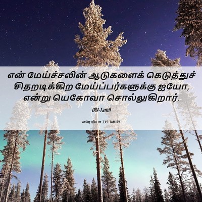 Picture 06 - எரேமியா 23:1 TAMIRV - என் மேய்ச்சலின் - Bible Verse Picture