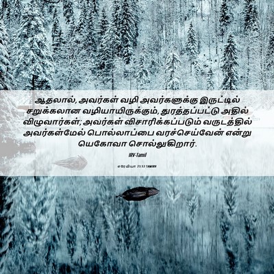 Picture 06 - எரேமியா 23:12 TAMIRV - ஆதலால், அவர்கள் - Bible Verse Picture