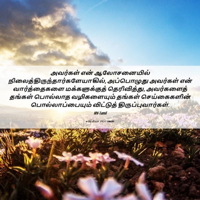Picture 06 - எரேமியா 23:22 TAMIRV - அவர்கள் என் - Bible Verse Picture