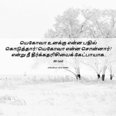 Picture 06 - எரேமியா 23:37 TAMIRV - யெகோவா உனக்கு - Bible Verse Picture