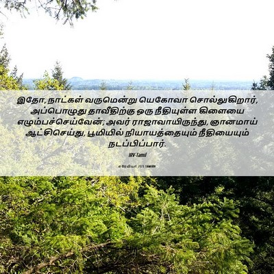 Picture 06 - எரேமியா 23:5 TAMIRV - இதோ, நாட்கள் - Bible Verse Picture