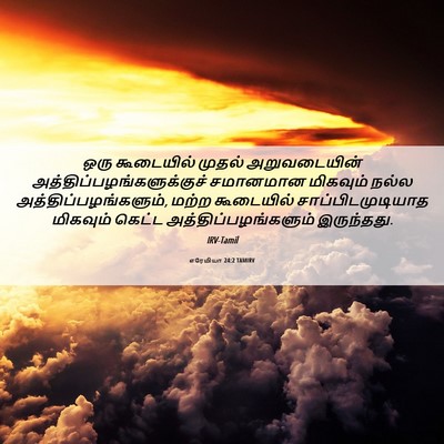 Picture 06 - எரேமியா 24:2 TAMIRV - ஒரு கூடையில் - Bible Verse Picture