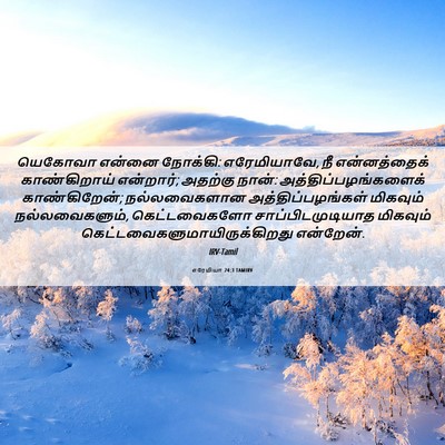 Picture 06 - எரேமியா 24:3 TAMIRV - யெகோவா என்னை - Bible Verse Picture