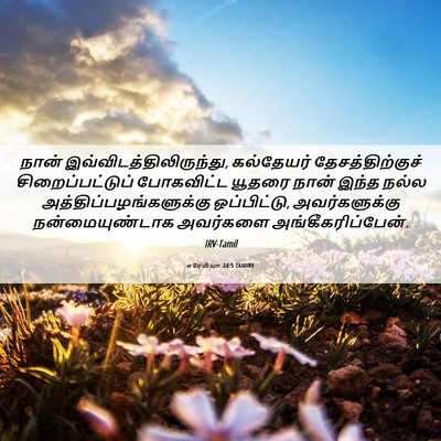 Picture 06 - எரேமியா 24:5 TAMIRV - நான் - Bible Verse Picture