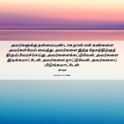 Picture 06 - எரேமியா 24:6 TAMIRV - அவர்களுக்கு - Bible Verse Picture