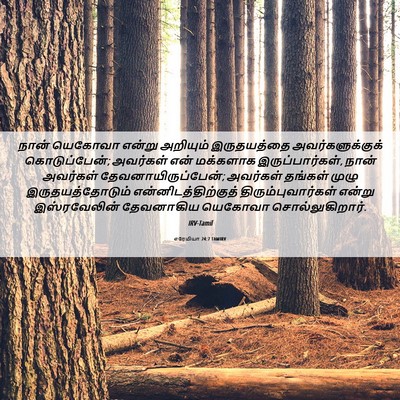 Picture 06 - எரேமியா 24:7 TAMIRV - நான் யெகோவா என்று - Bible Verse Picture