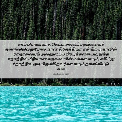 Picture 06 - எரேமியா 24:8 TAMIRV - சாப்பிடமுடியாத - Bible Verse Picture