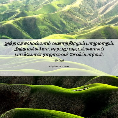 Picture 06 - எரேமியா 25:11 TAMIRV - இந்த தேசமெல்லாம் - Bible Verse Picture