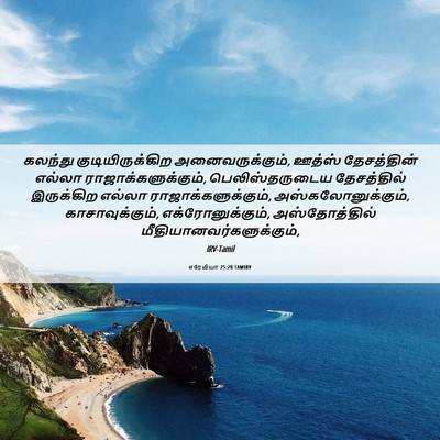 Picture 06 - எரேமியா 25:20 TAMIRV - கலந்து - Bible Verse Picture