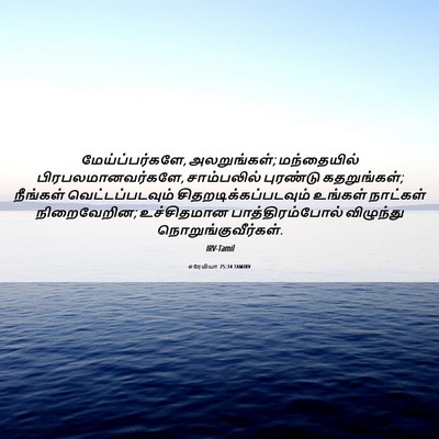 Picture 06 - எரேமியா 25:34 TAMIRV - மேய்ப்பர்களே, - Bible Verse Picture