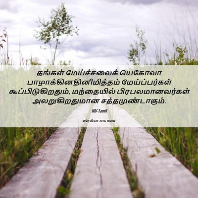 Picture 06 - எரேமியா 25:36 TAMIRV - தங்கள் - Bible Verse Picture