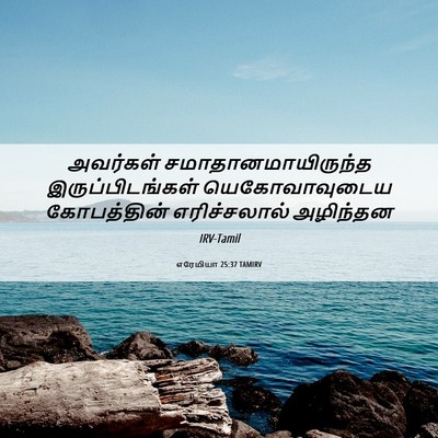 Picture 06 - எரேமியா 25:37 TAMIRV - அவர்கள் - Bible Verse Picture