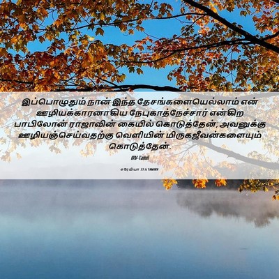 Picture 06 - எரேமியா 27:6 TAMIRV - இப்பொழுதும் நான் - Bible Verse Picture