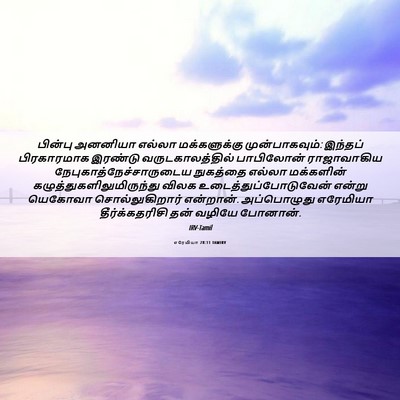 Picture 06 - எரேமியா 28:11 TAMIRV - பின்பு அனனியா - Bible Verse Picture