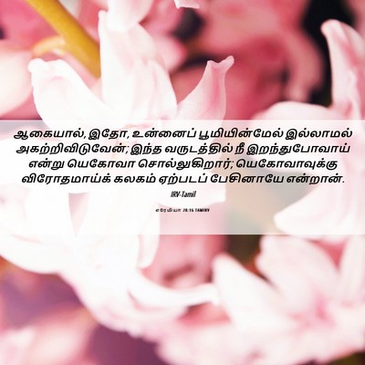 Picture 06 - எரேமியா 28:16 TAMIRV - ஆகையால், இதோ, - Bible Verse Picture