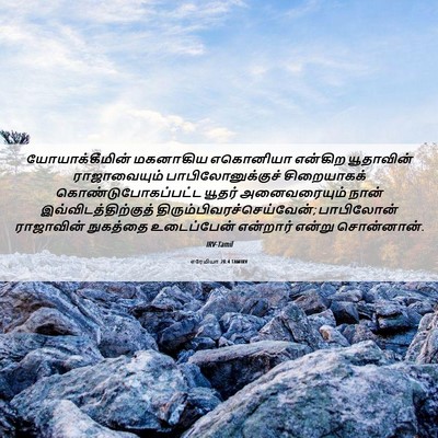 Picture 06 - எரேமியா 28:4 TAMIRV - யோயாக்கீமின் - Bible Verse Picture