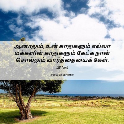 Picture 06 - எரேமியா 28:7 TAMIRV - ஆனாலும், உன் - Bible Verse Picture