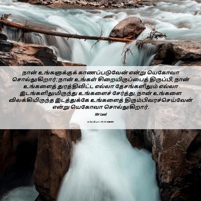Picture 06 - எரேமியா 29:14 TAMIRV - நான் உங்களுக்குக் - Bible Verse Picture