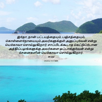 Picture 06 - எரேமியா 29:17 TAMIRV - இதோ, நான் - Bible Verse Picture