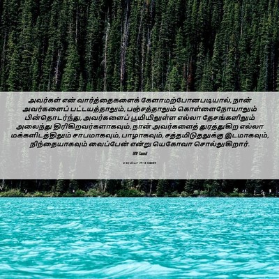 Picture 06 - எரேமியா 29:18 TAMIRV - அவர்கள் என் - Bible Verse Picture