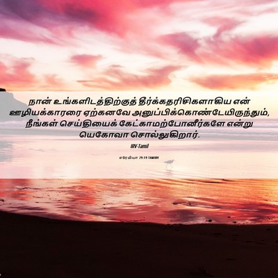 Picture 06 - எரேமியா 29:19 TAMIRV - நான் - Bible Verse Picture