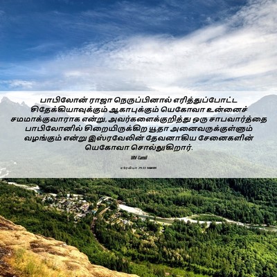 Picture 06 - எரேமியா 29:22 TAMIRV - பாபிலோன் ராஜா - Bible Verse Picture