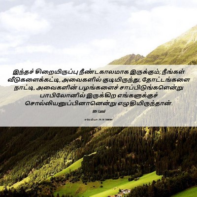 Picture 06 - எரேமியா 29:28 TAMIRV - இந்தச் - Bible Verse Picture