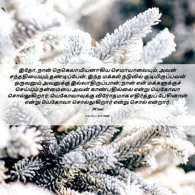 Picture 06 - எரேமியா 29:32 TAMIRV - இதோ, நான் - Bible Verse Picture