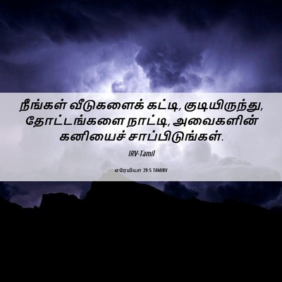 Picture 06 - எரேமியா 29:5 TAMIRV - நீங்கள் வீடுகளைக் - Bible Verse Picture