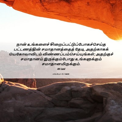 Picture 06 - எரேமியா 29:7 TAMIRV - நான் உங்களைச் - Bible Verse Picture